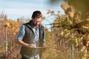 Mann arbeitet auf einem kleinen Weinberg mit seinem Tablet.